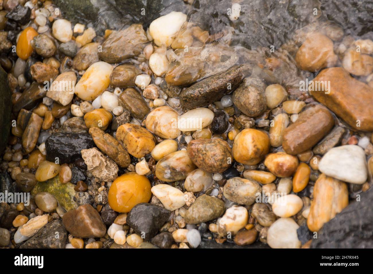 Top view of a group of small, wet rocks at the beach of the sea Stock ...