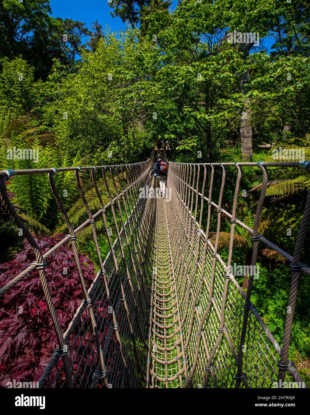 A view on the impressive Rope Bridge at the Lost Gardens of Heligan in