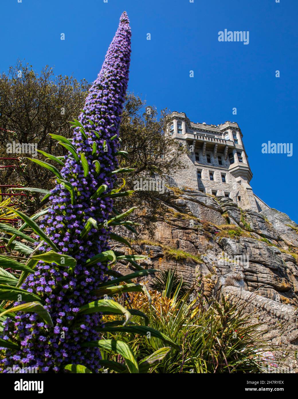 The Castle viewed from the Gardens at St. Michaels Mount in Cornwall, UK. Stock Photo