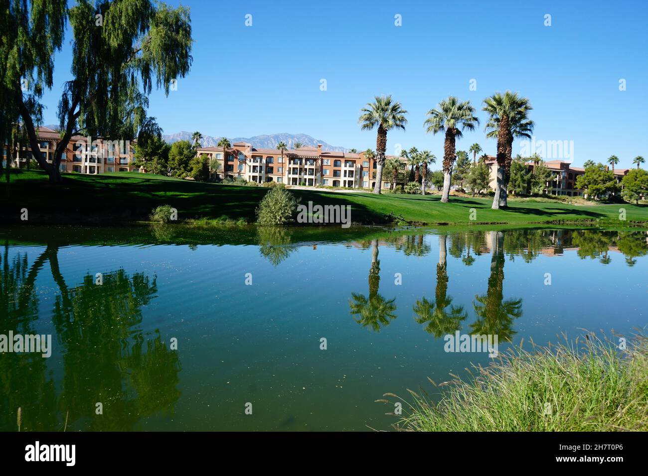 Pond and Condos next to a Golf Course Stock Photo
