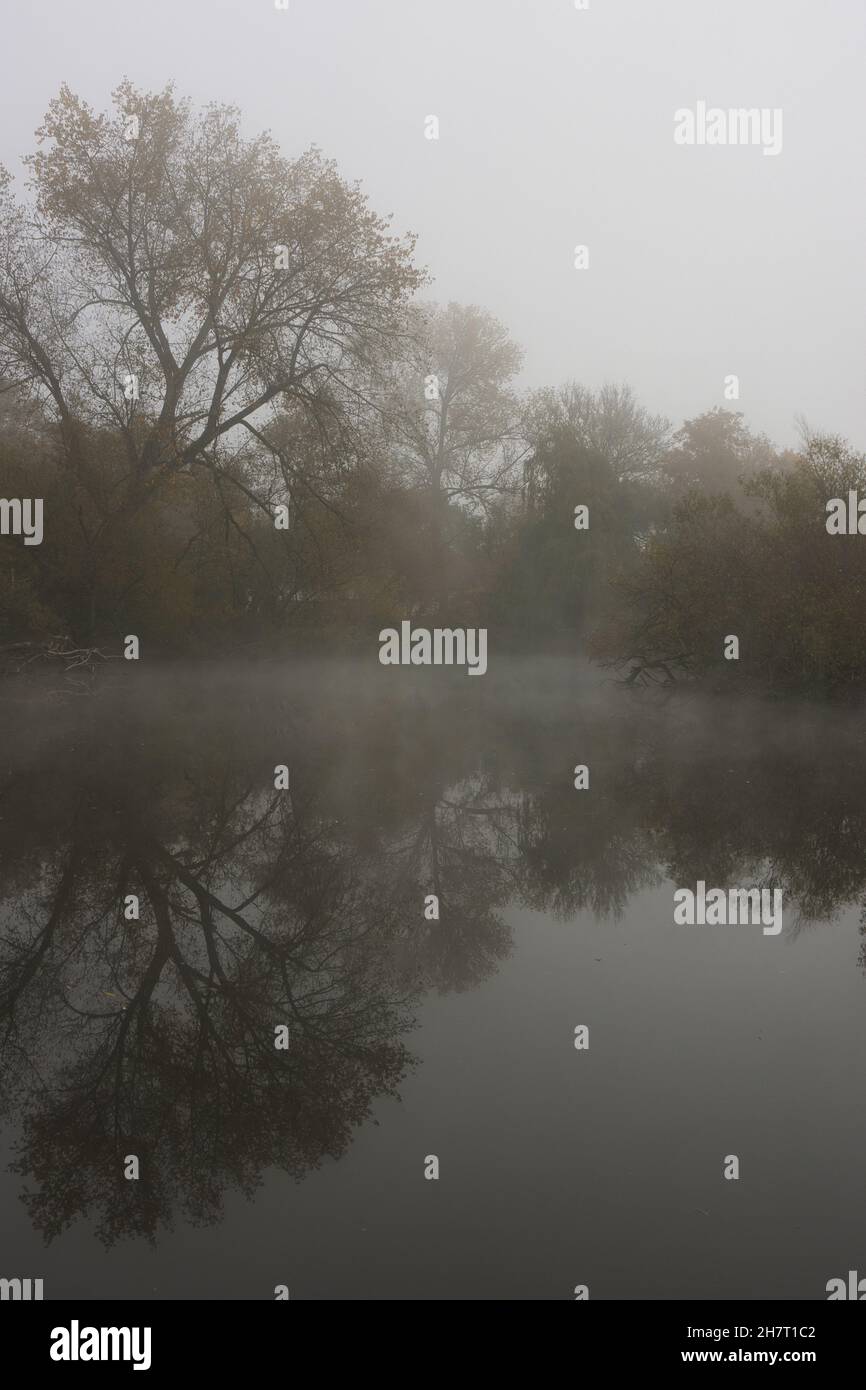 Vertical shot of a lake surrounded by trees Stock Photo - Alamy