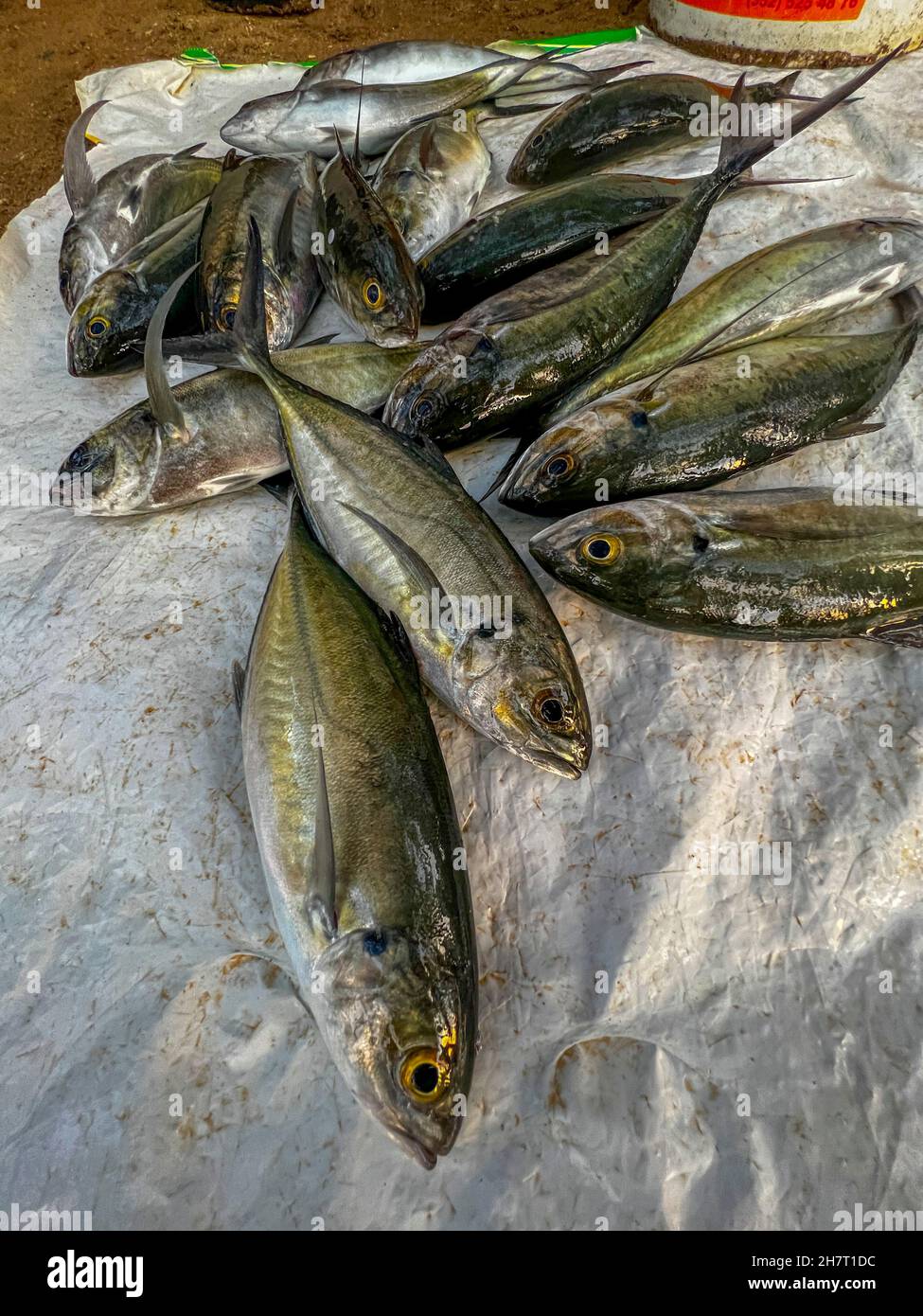Sunrise, Fish Market, Zihuatanejo, Ixtapa, Guerrero, Mexico Stock Photo Alamy