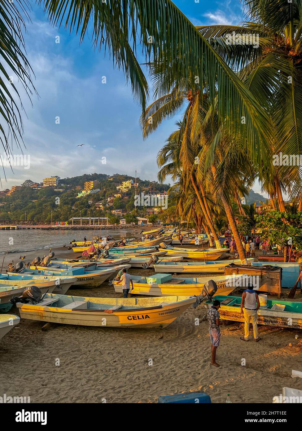 Sunrise, Fish Market, Zihuatanejo, Ixtapa, Guerrero, Mexico Stock Photo Alamy
