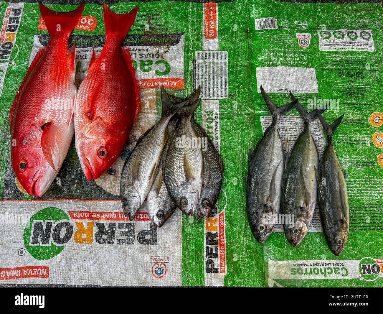 Sunrise, Fish Market, Zihuatanejo, Ixtapa, Guerrero, Mexico Stock Photo