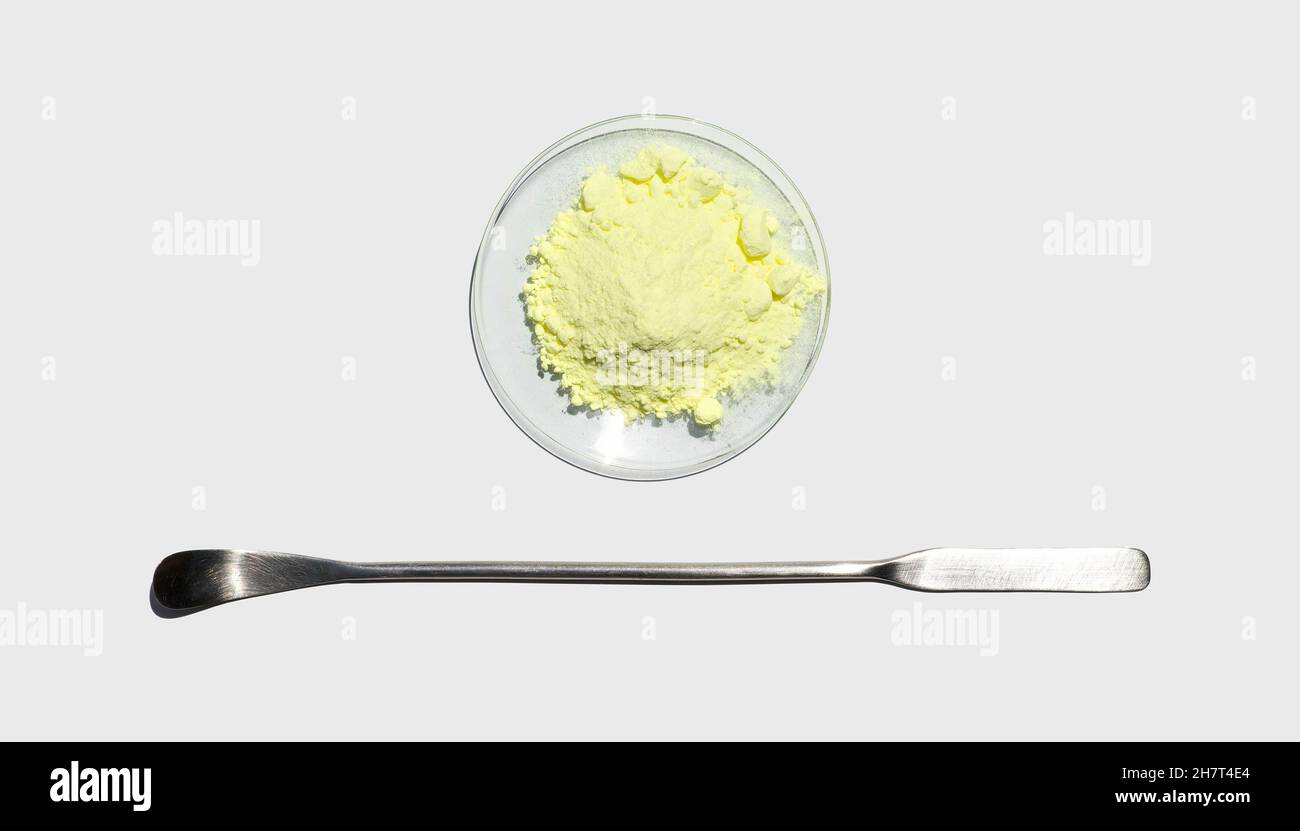 Sulfur Powder in chemical watch glass placed next to the stainless spatula on laboratory table. Stock Photo