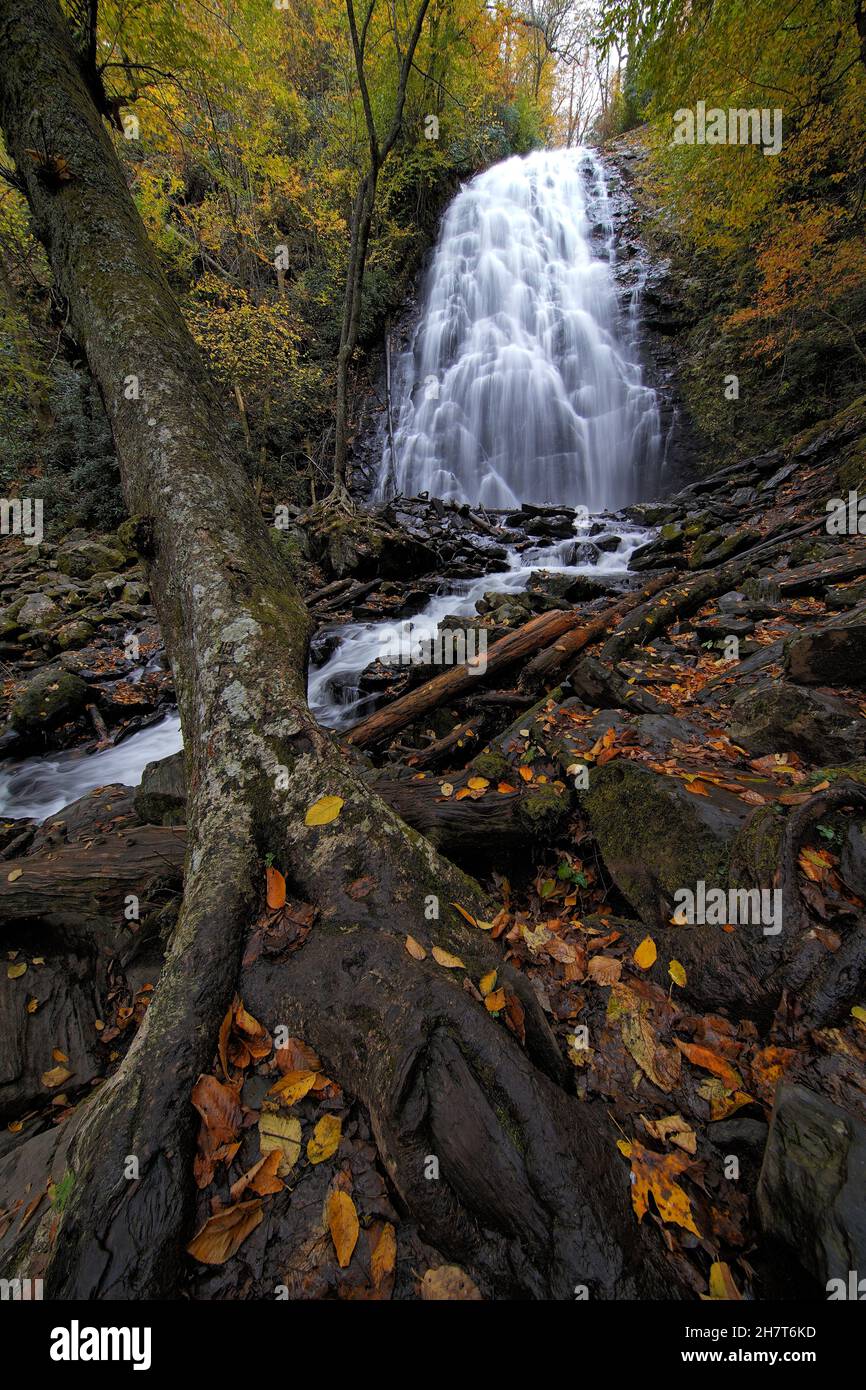Vertical shot of a waterfall in the woods Stock Photo - Alamy