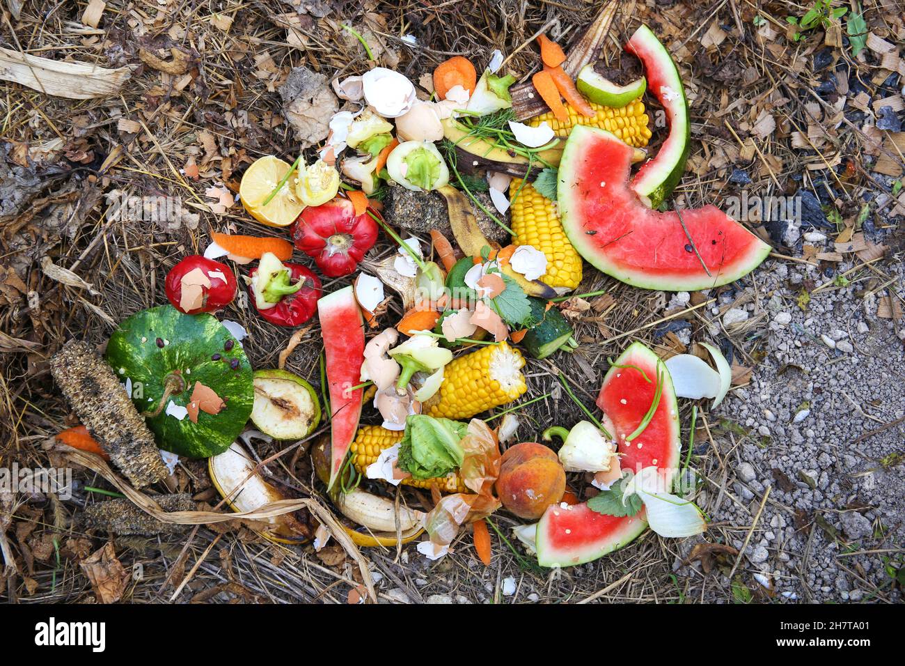 Domestic waste for compost from fruits and vegetables in garden. Top