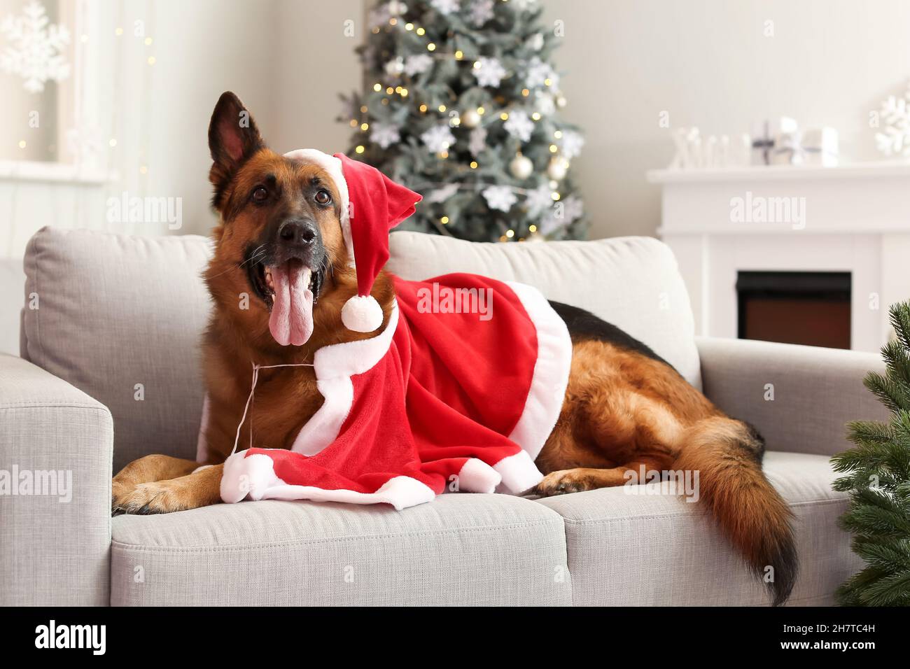 German shepherd hotsell christmas outfit