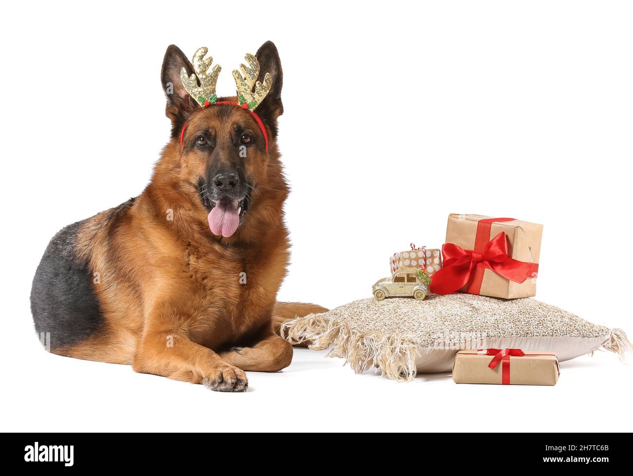 Cute German Shepherd dog with Christmas gifts and deer horns on white background Stock Photo Alamy