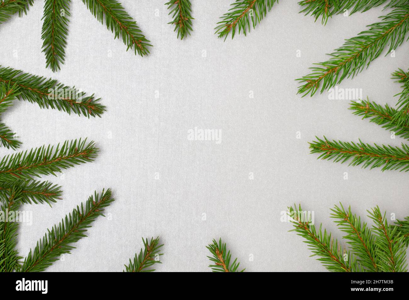 Fir branches frame on a silver colored background. Festive composition. Stock Photo