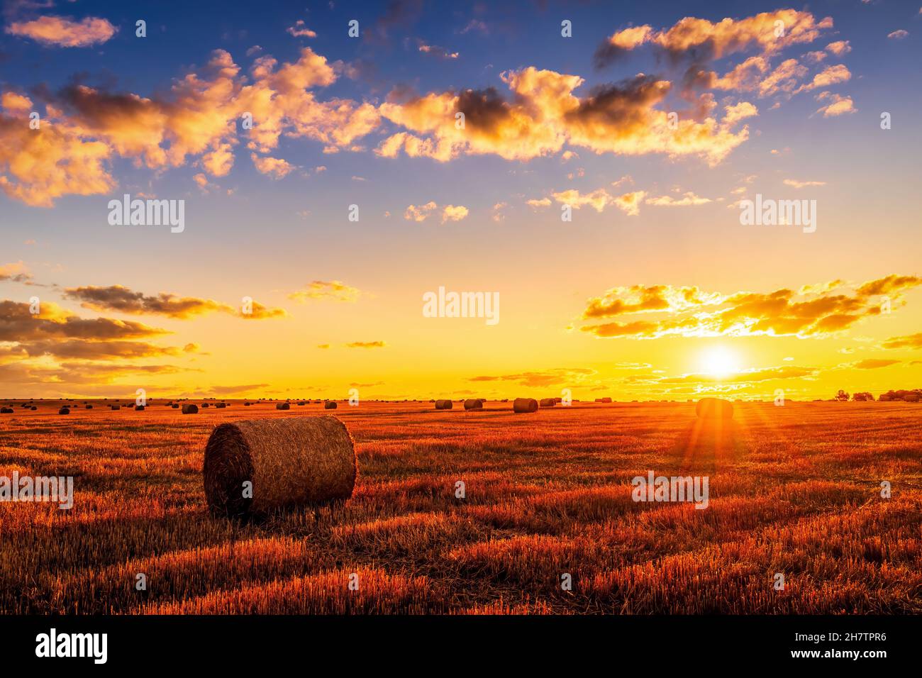 A field with haystacks on an autumn evening with a cloudy sky in the ...