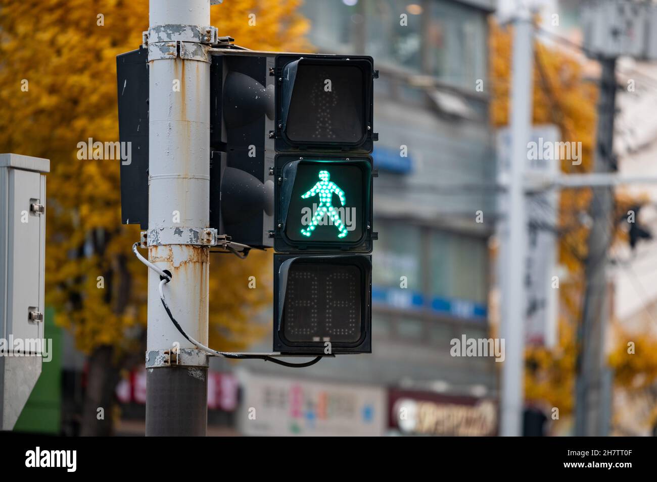 A traffic light with a green pedestrian traffic light on. South Korea Stock Photo