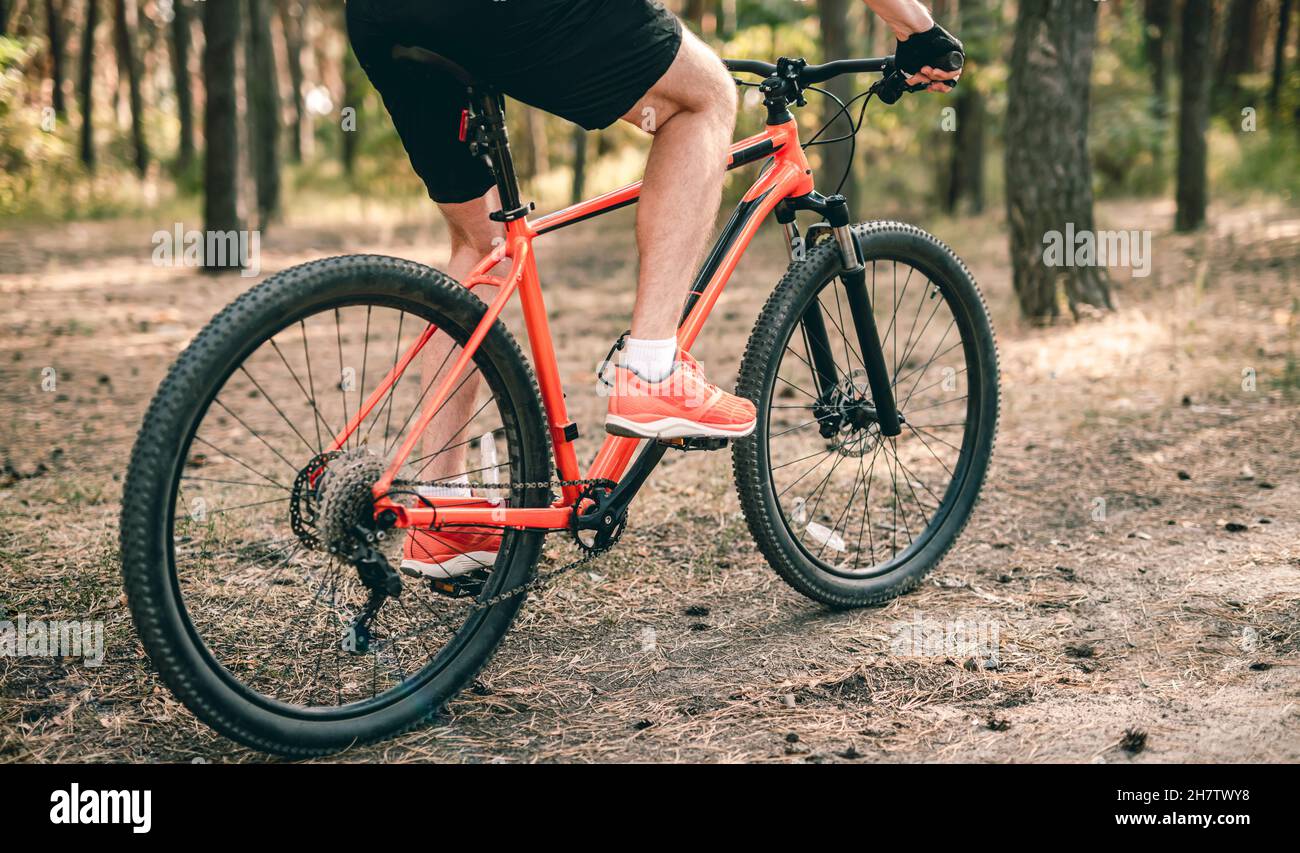 Mountain bicycle ride through forest hi-res stock photography and ...