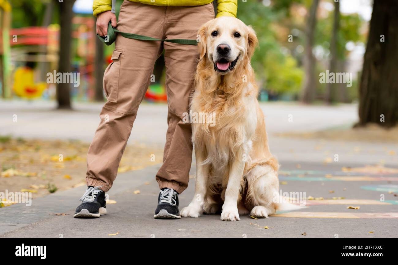 Girl with golden retriever dog Stock Photo - Alamy
