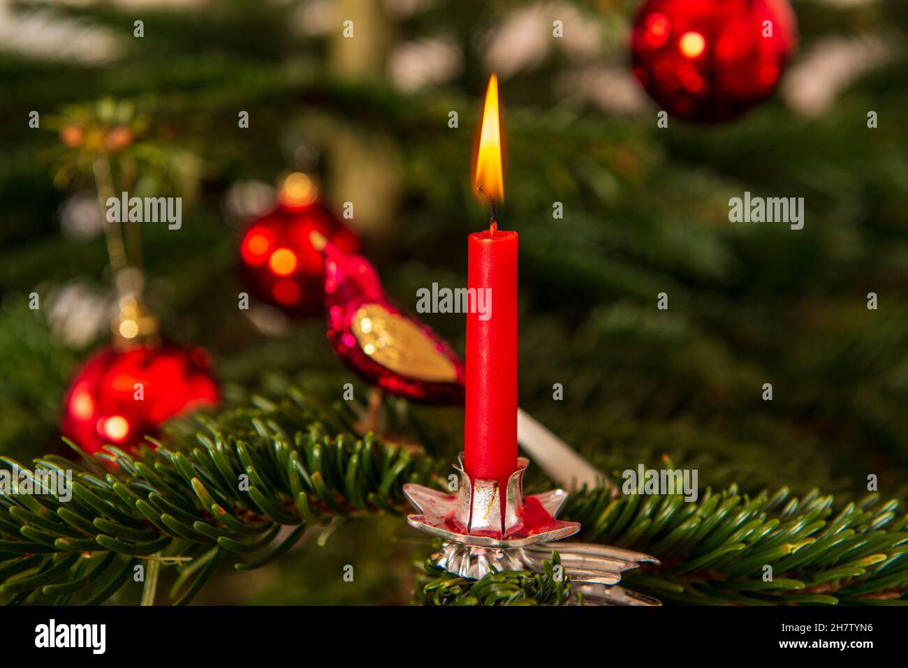 Rote brennende Weihnachtskerze an einem Weihnachtsbaum Stock Photo