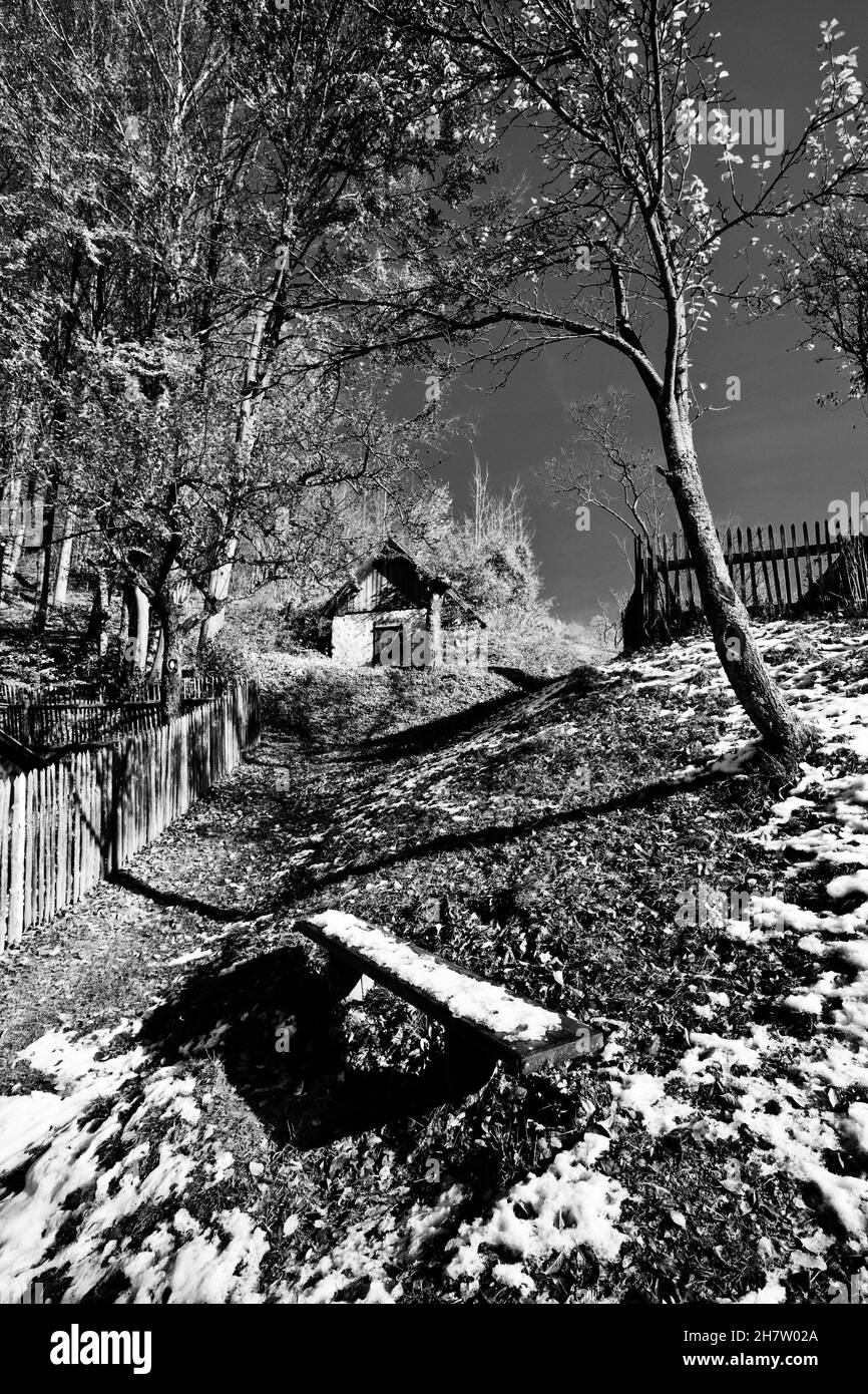 romantic place in the backyard with a view of the old cellar and fruit trees, path covered with leaves, black and white photo editing Stock Photo