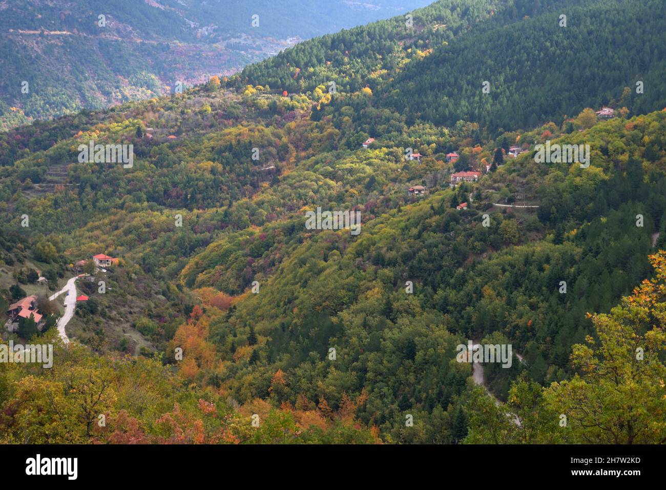 Colorful Autumn trees in the mountain forest Stock Photo - Alamy