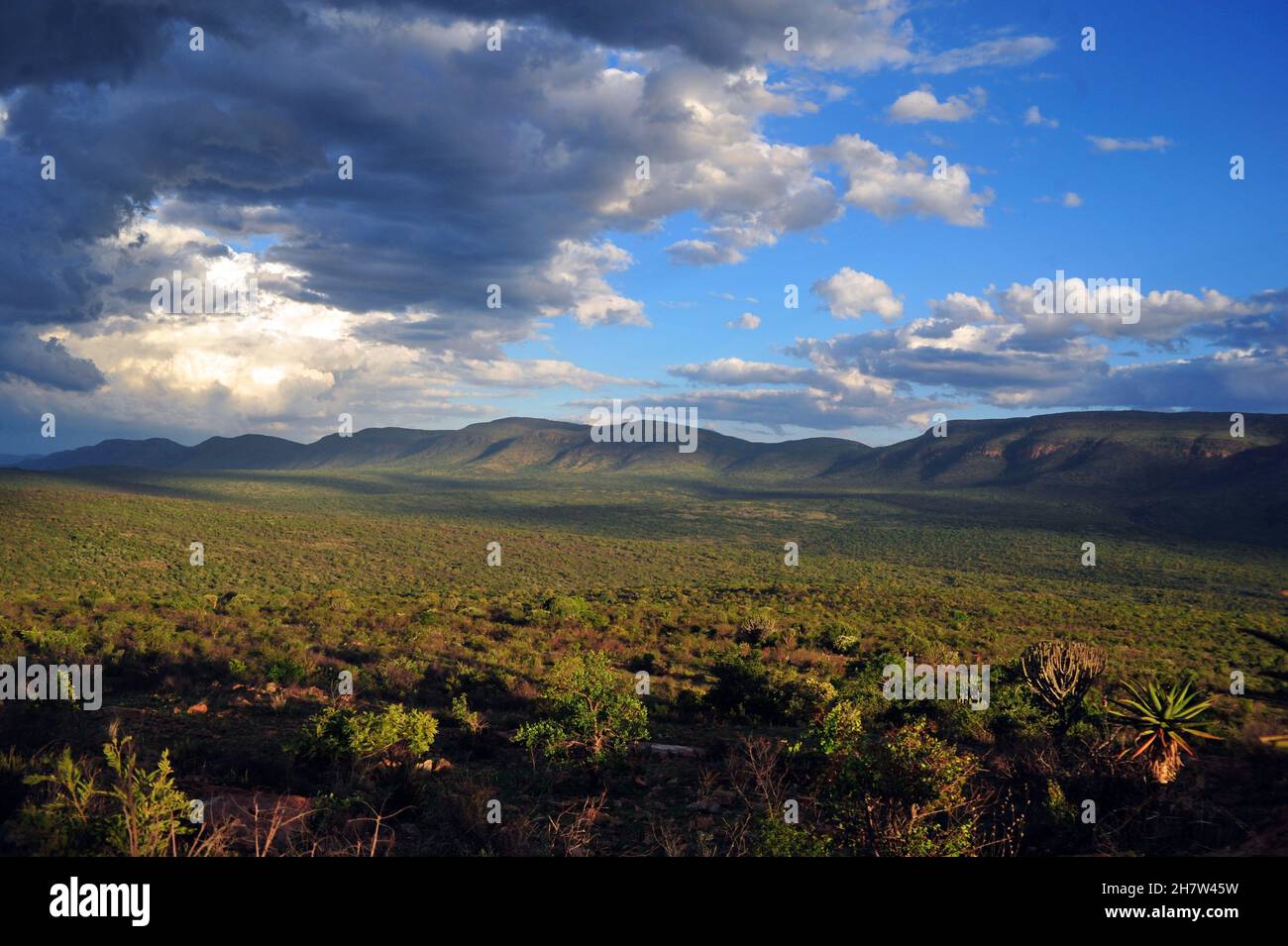 The landscape in Limpopo comes alive during the rainy season as farmers prepare the lands for planting. Stock Photo