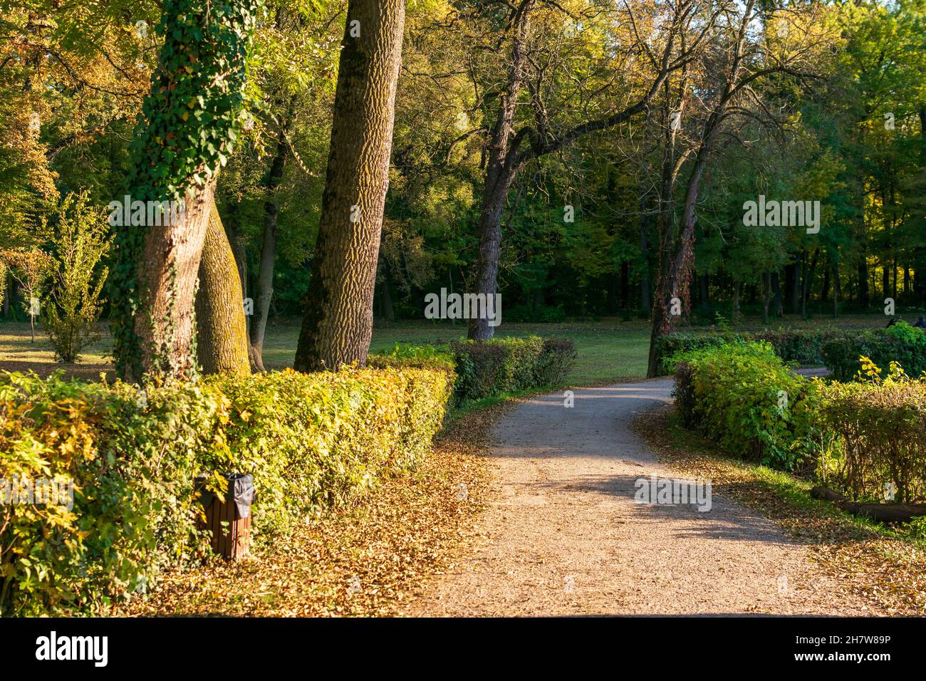 Autumn forest pathway from Miclauseni Castle, Romania Stock Photo