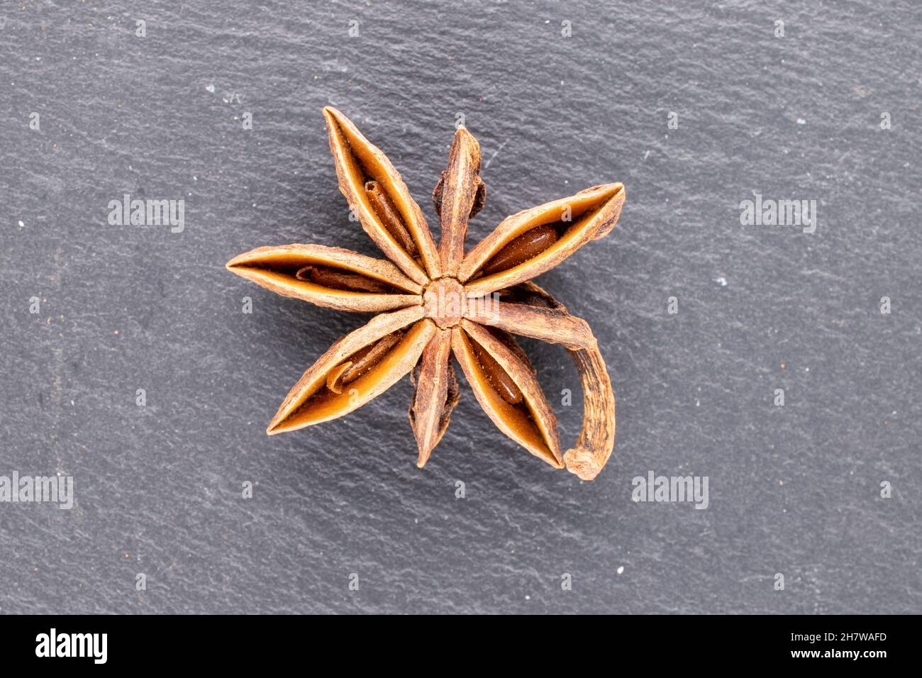 One star of dry fragrant star anise on a slate stone, close-up, top view. Stock Photo