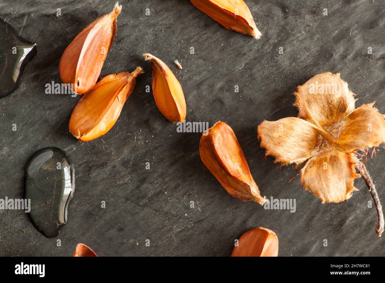 Aperture f 16 hi-res stock photography and images - Alamy