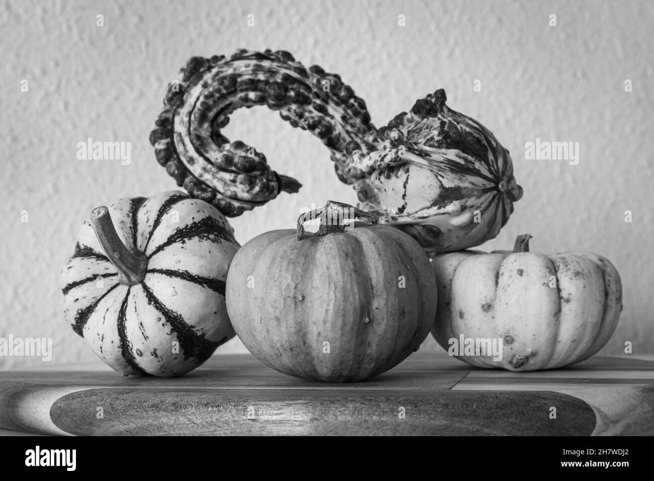 a collection mini pumpkins of various types and shapes on a wooden chopping board monochrome Stock Photo
