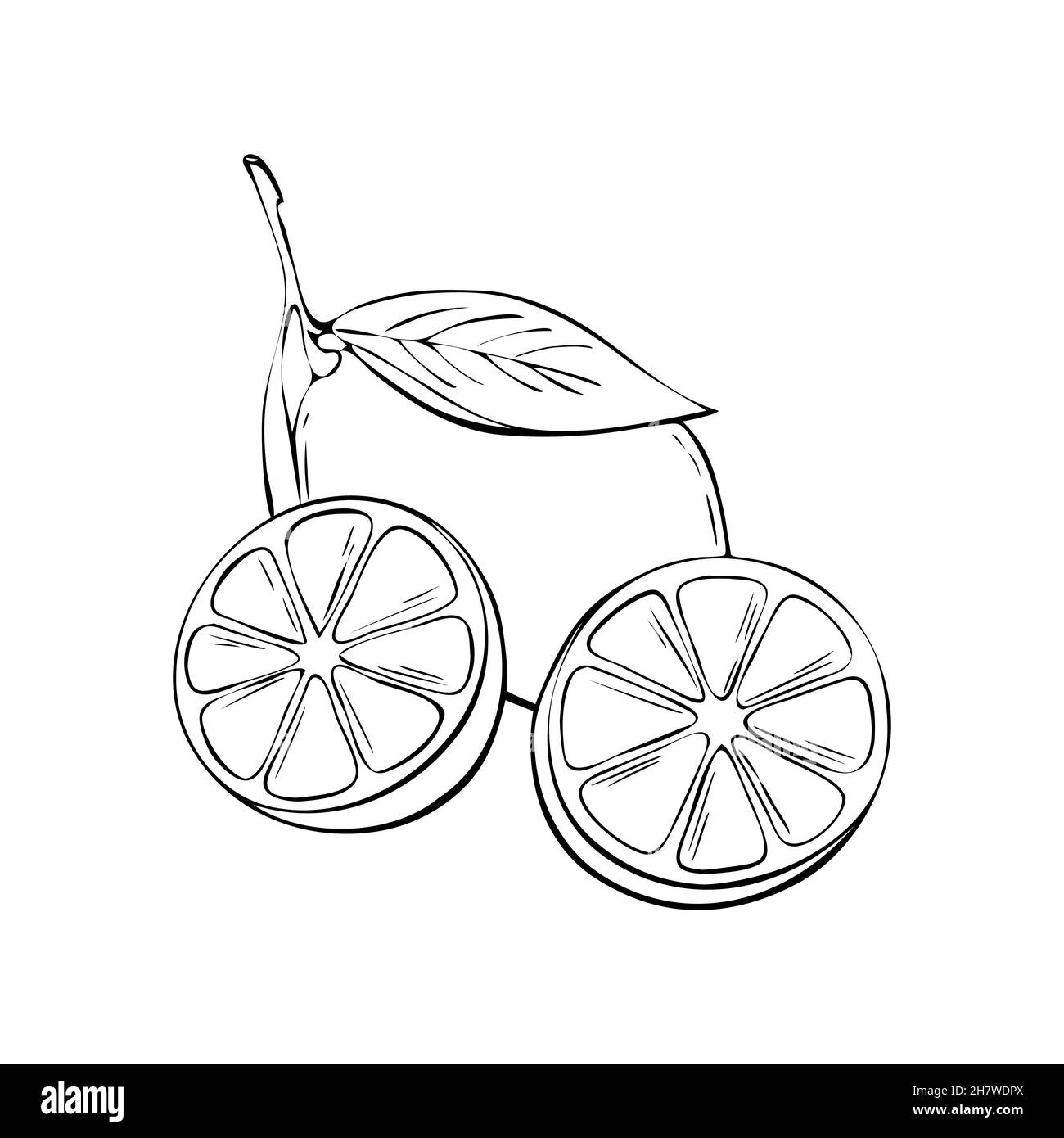 Fruit slice background Black and White