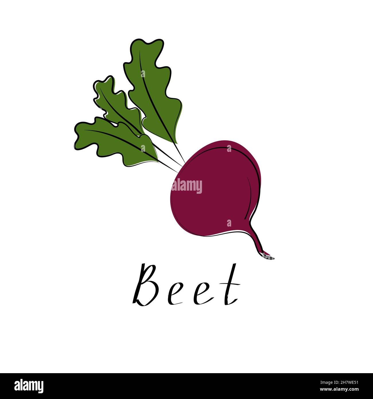 Fresh beet with leaf. Vegetable organic icon. Vector illustration. Isolated white background Stock Vector
