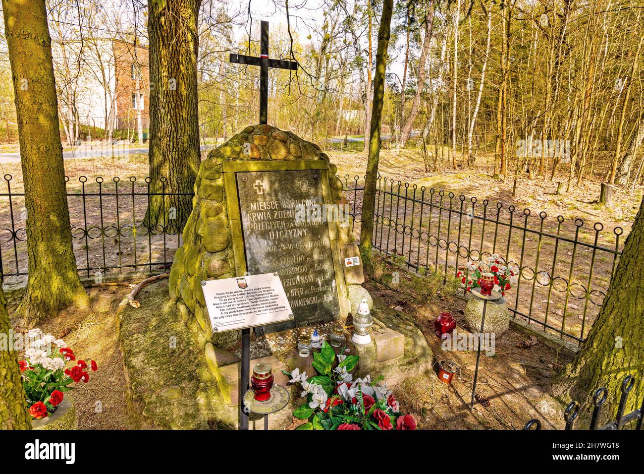 Izabelin, Poland - April 24, 2020: Forest historic grave of fallen Home Army soldiers of Kampinos Army regiment in Kampinoski Forest near Warsaw in Ma Stock Photo
