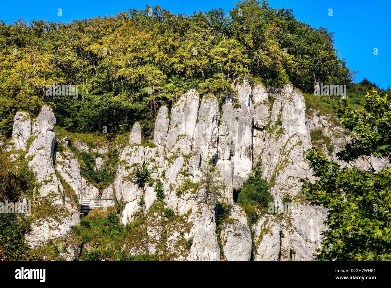 Crown rocks - Skaly Koronne - Jurassic limestone mountain massif with Glove  Rock - Rekawica - in Pradnik creek valley of Cracow-Czestochowa upland in  Stock Photo - Alamy