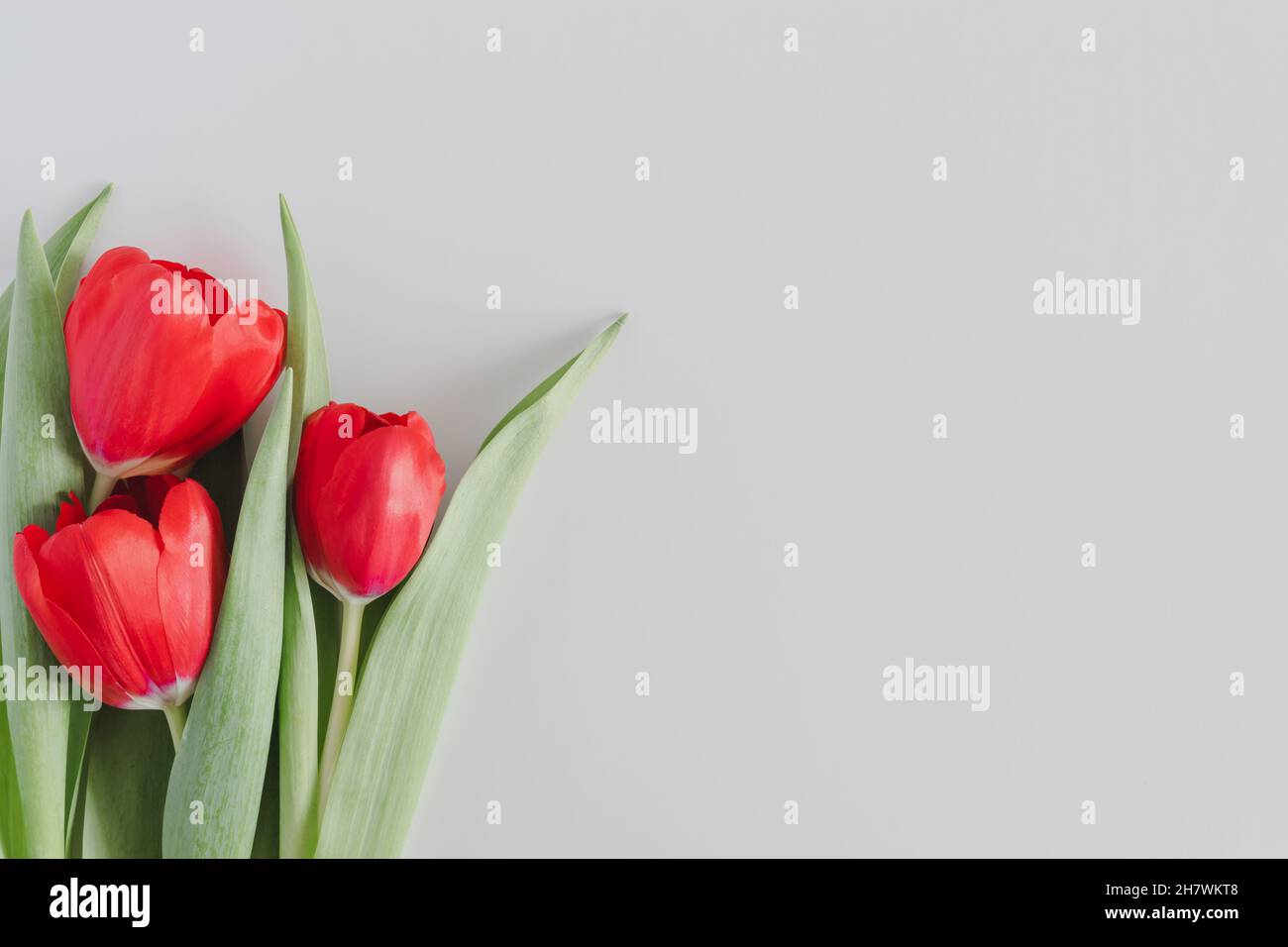 Beautiful bouquet of blooming spring bright red tulips with lush green ...