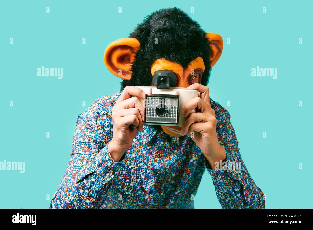 closeup of a young man, wearing a monkey mask, taking a picture with a retro instant camera on a blue background Stock Photo