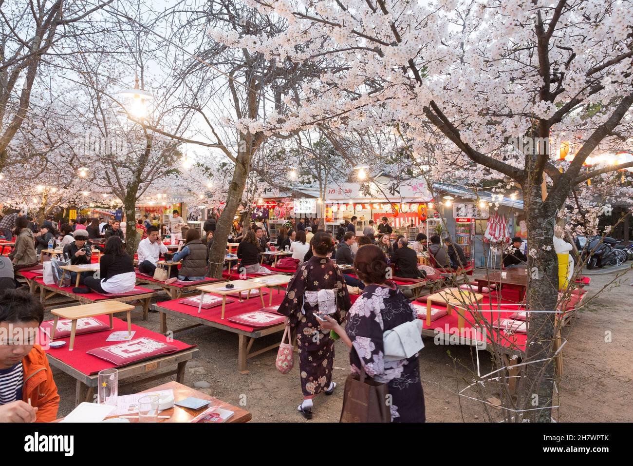 Kyoto, Japan, Cherry blossom viewing at Cherry blossom festival inside MaruyamaKoen Park Stock