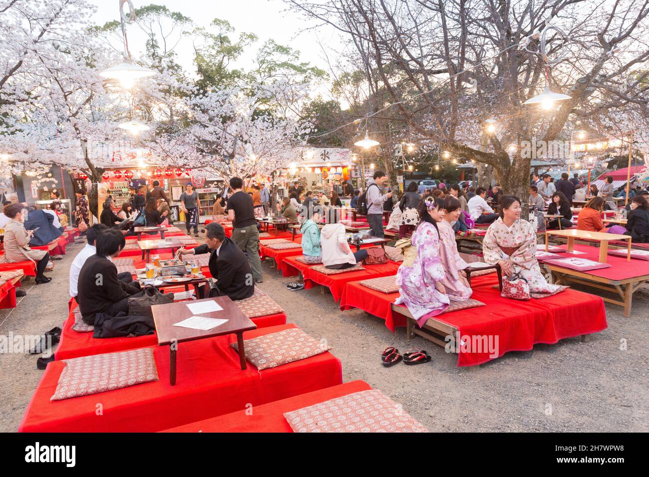 Kyoto, Japan, Cherry blossom viewing at Cherry blossom festival inside MaruyamaKoen Park Stock