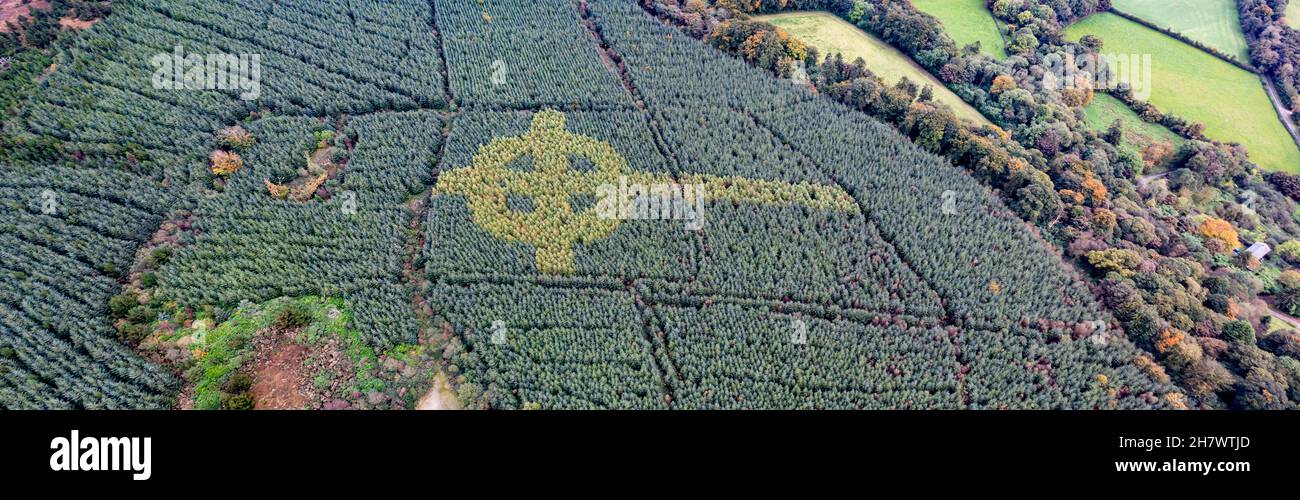 Aerial view of celtic cross growing in a forest in County Donegal - Ireland. Stock Photo