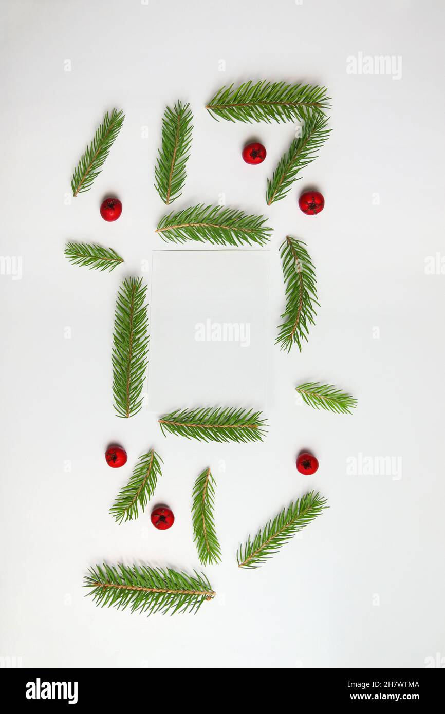 Frame of fir branch or spruce branch and red berries isolated on white ...