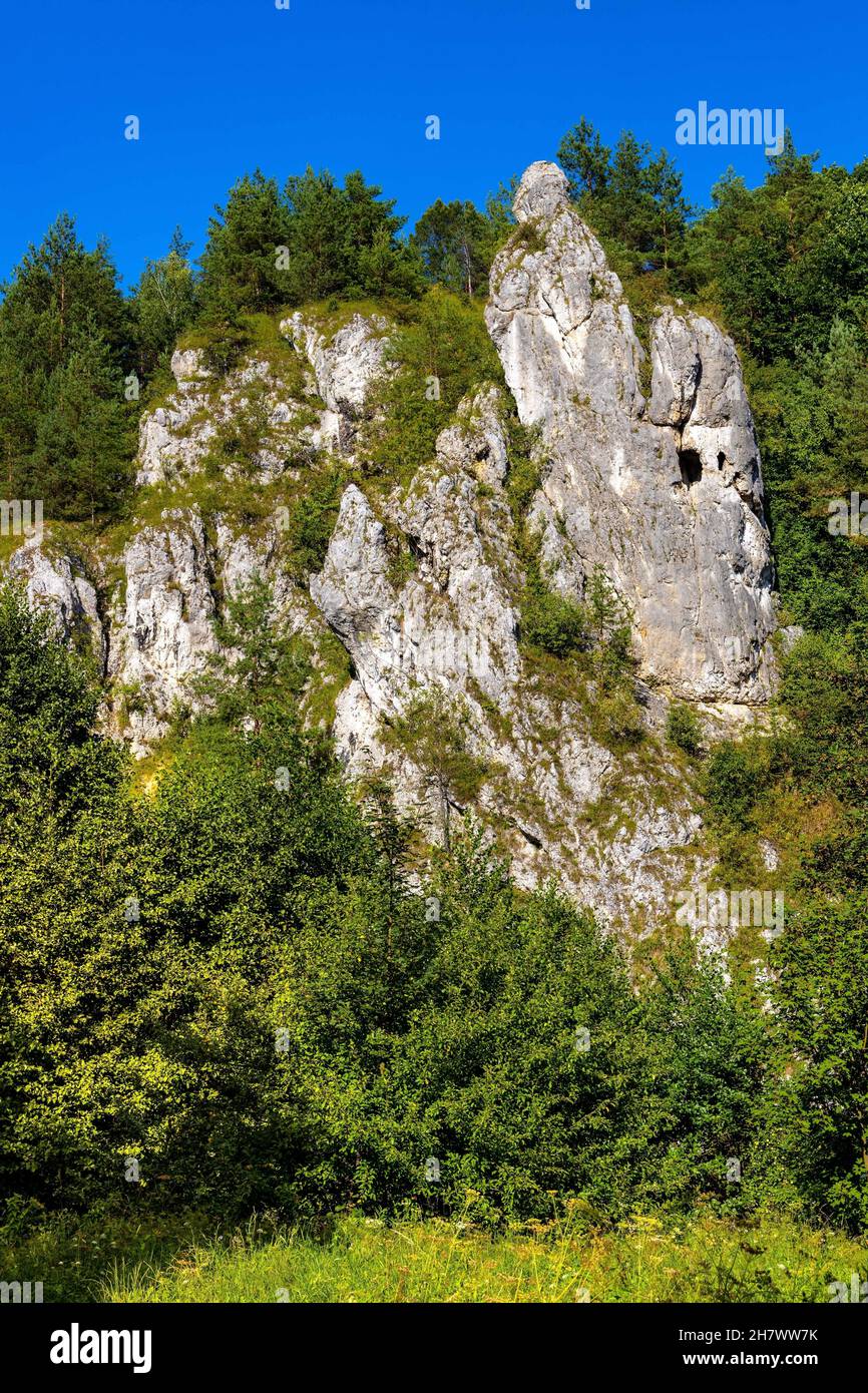 Monk limestone rock massif known as Mnich in Kobylanska Valley within Jura Krakowsko-Czestochowska upland near Cracow in Lesser Poland Stock Photo