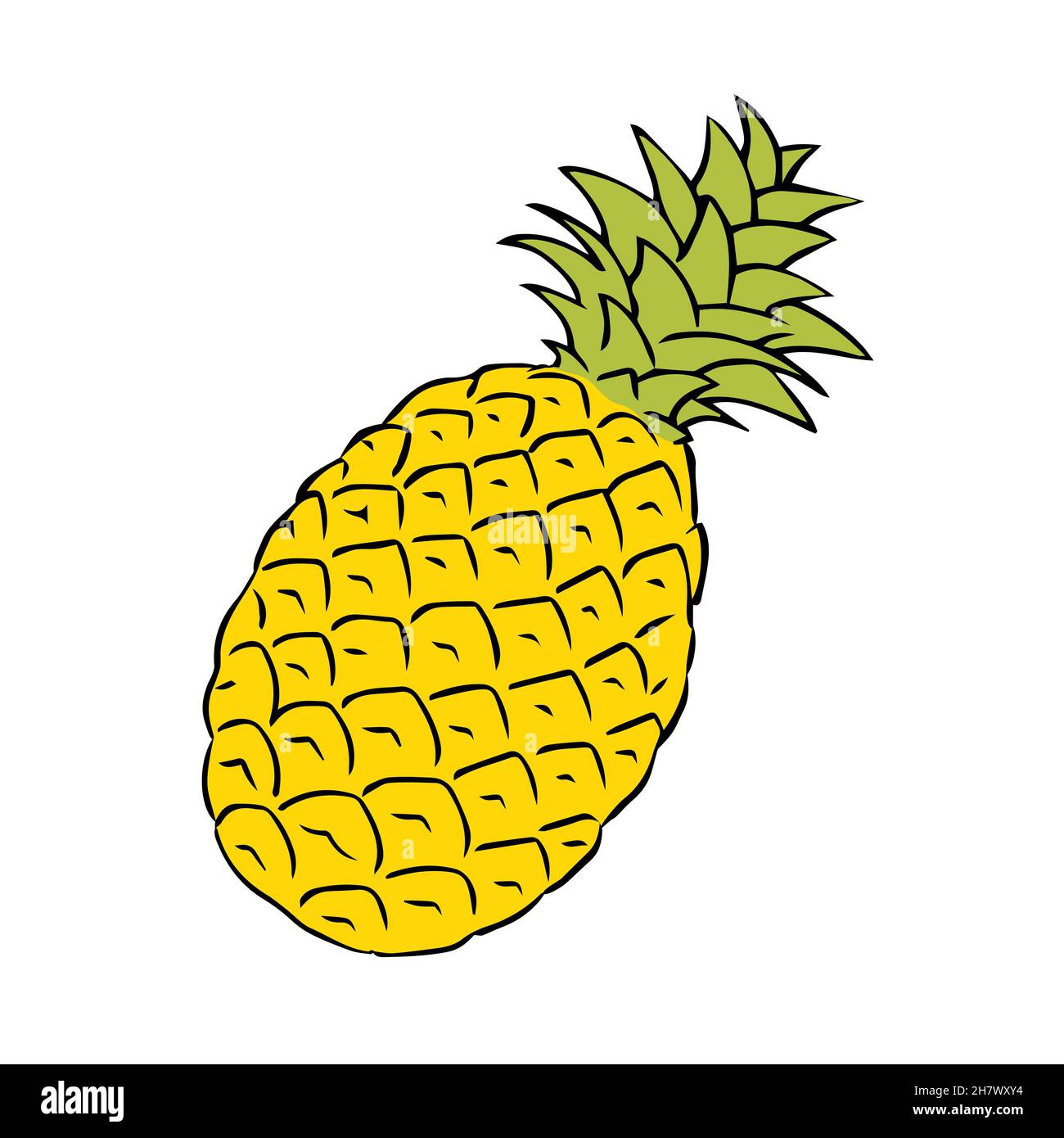 Ananas sketch illustration. Exotic delicious citrus fruit pineapple with vitamins. Vector freehand drawing. Isolated object on a white background Stock Vector