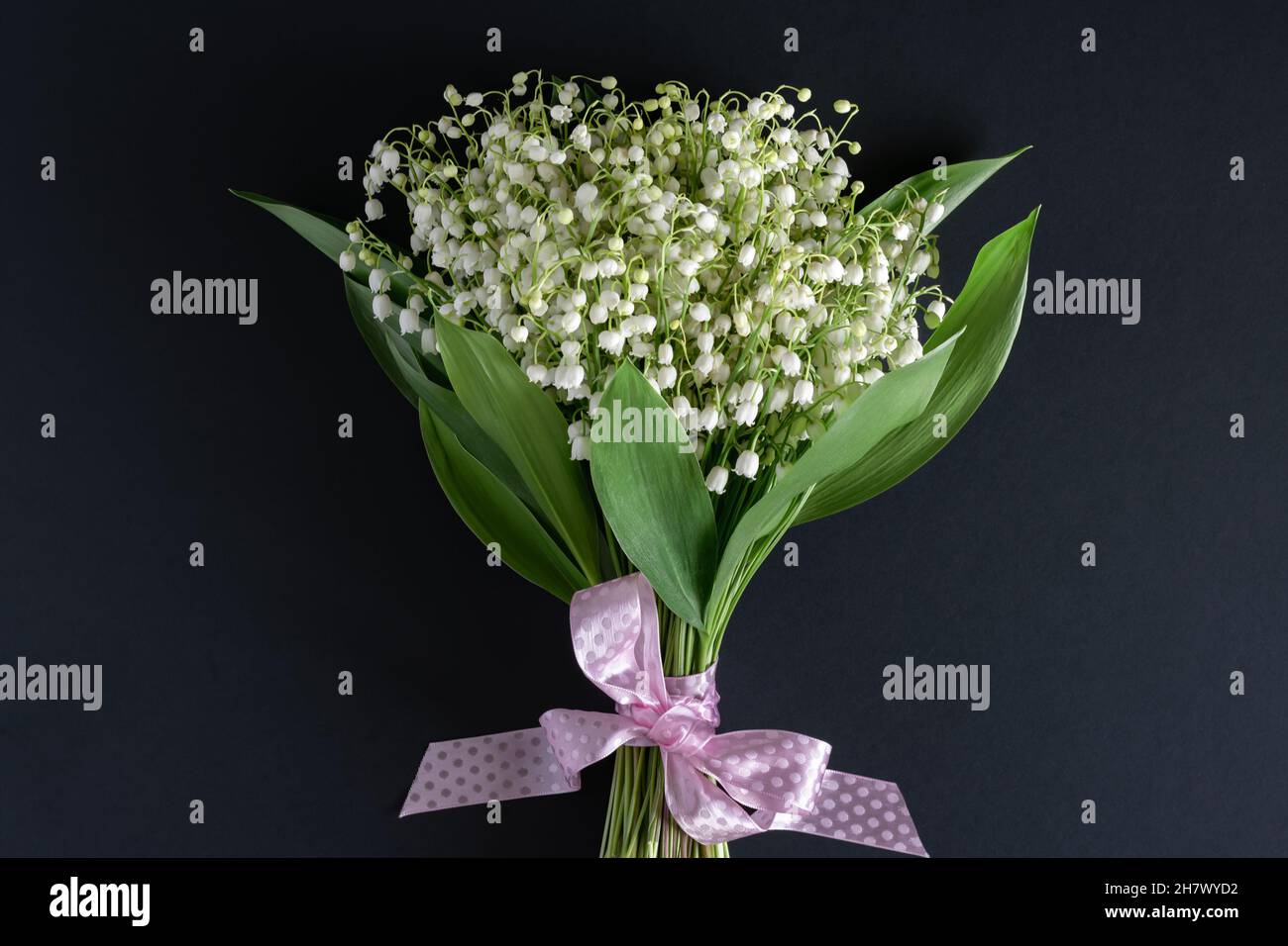 A bouquet of beautiful fragrant white lilies of the valley on a dark ...