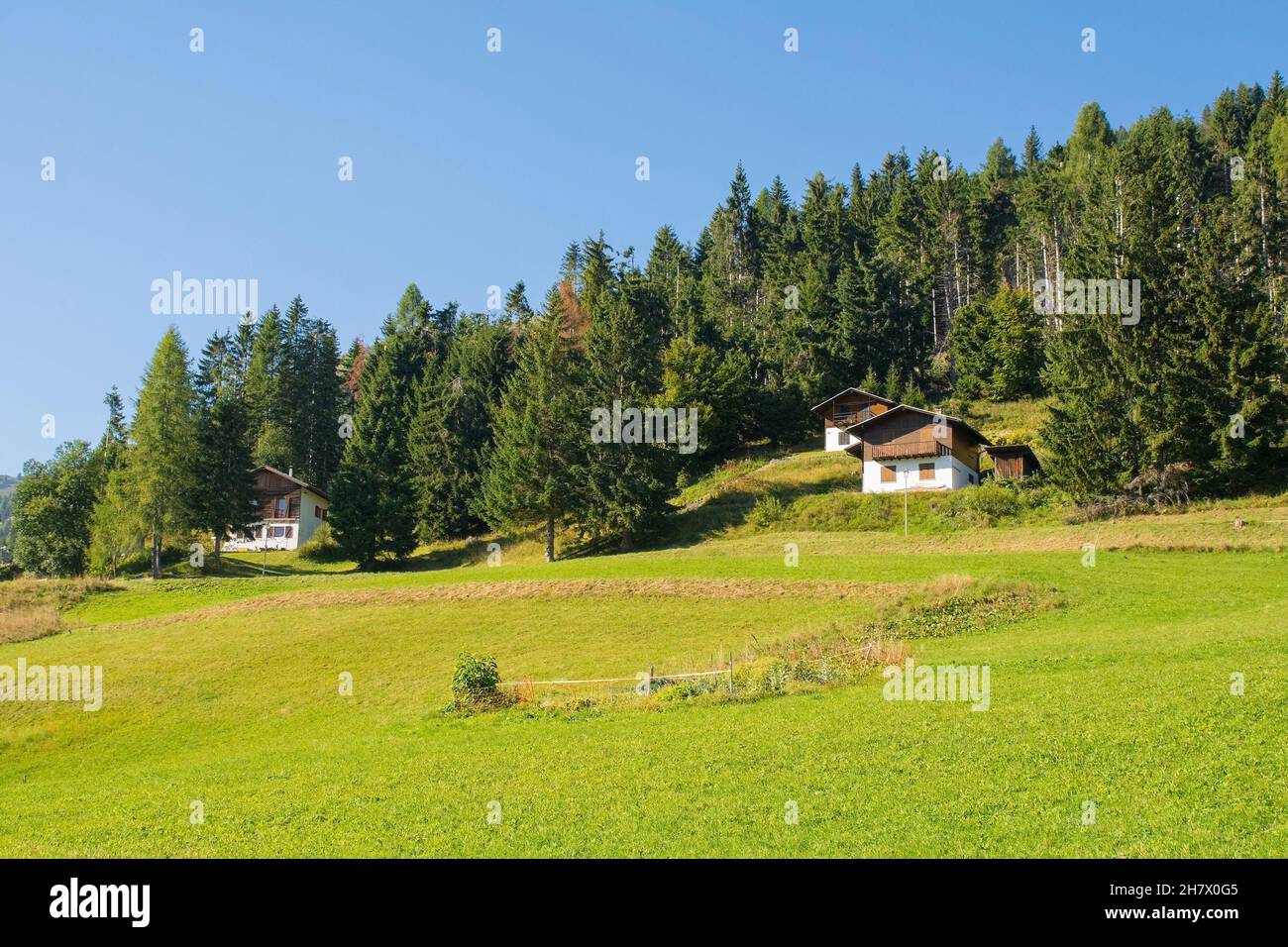 The late summer landscape near the Alpine village of Sauris di Sopra, Udine Province, Friuli-Venezia Giulia, north east Italy Stock Photo
