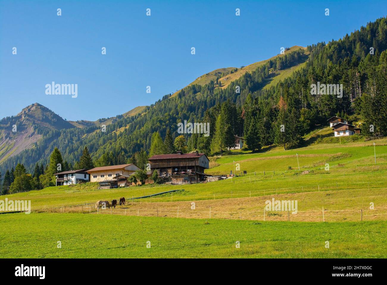 The late summer landscape near the Alpine village of Sauris di Sopra, Udine Province, Friuli-Venezia Giulia, north east Italy Stock Photo