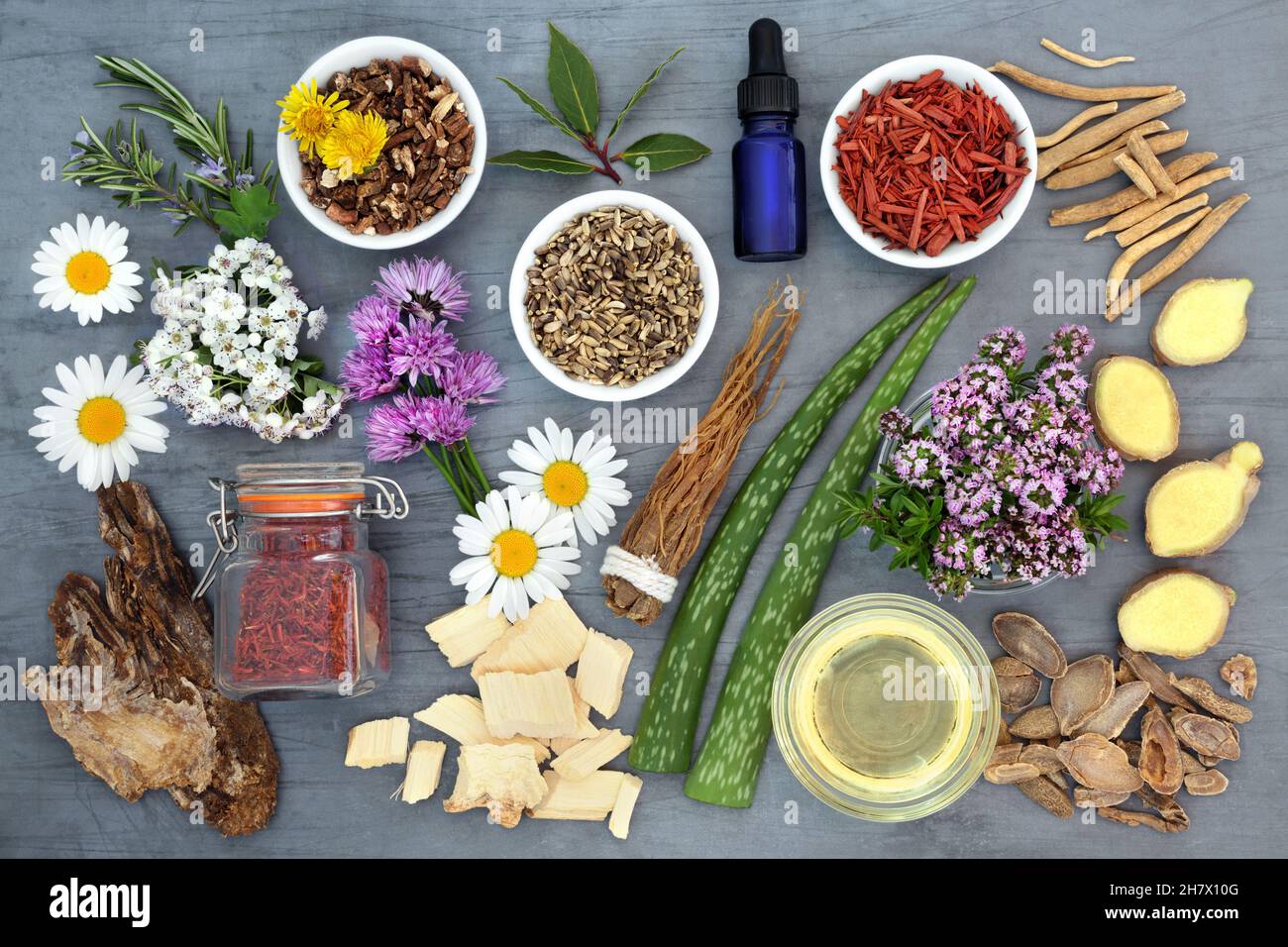 herbs-and-flowers-for-aromatherapy-herbal-plant-medicine-remedies