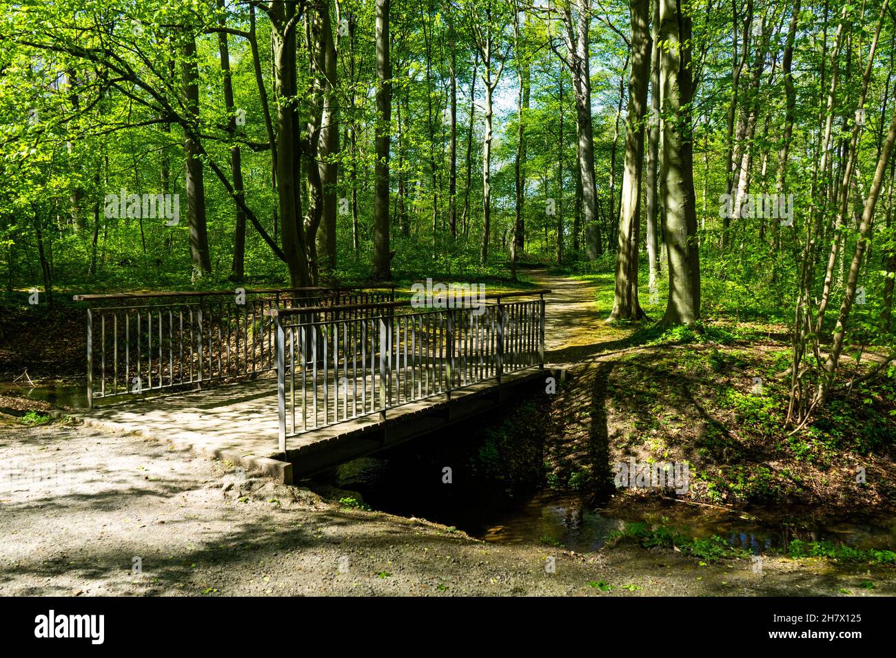 Eine Brücke im Wald. Stock Photo