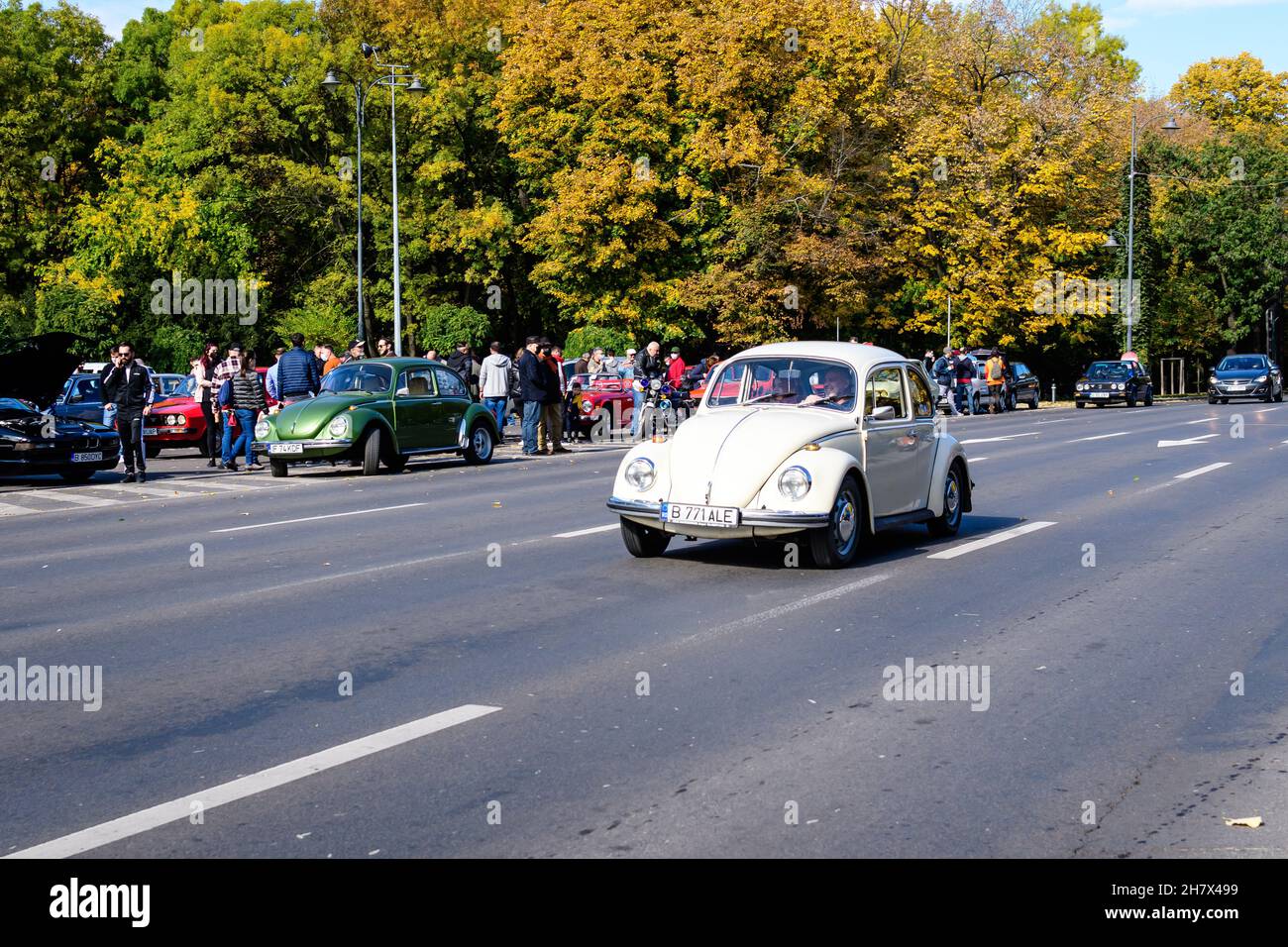 Bucharest, Romania, 24 October 2021: One white Volkswagen Beetle German vintage car in traffic in a street at an event for vintage cars collections, i Stock Photo