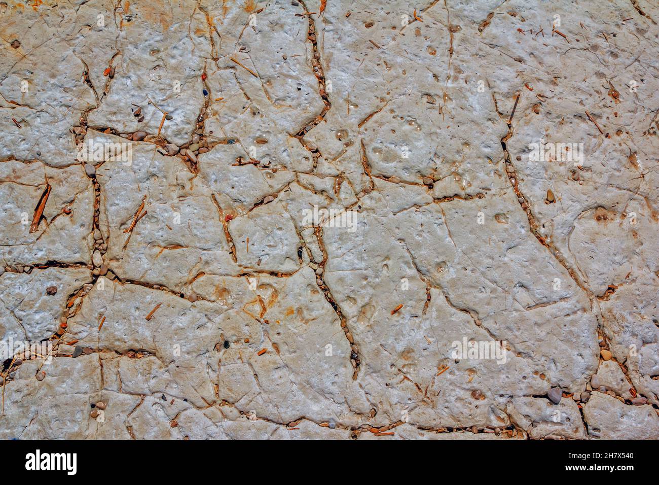 Whitestone Raining Close up cracked wet white stone texture. Stone pavement after rain ...