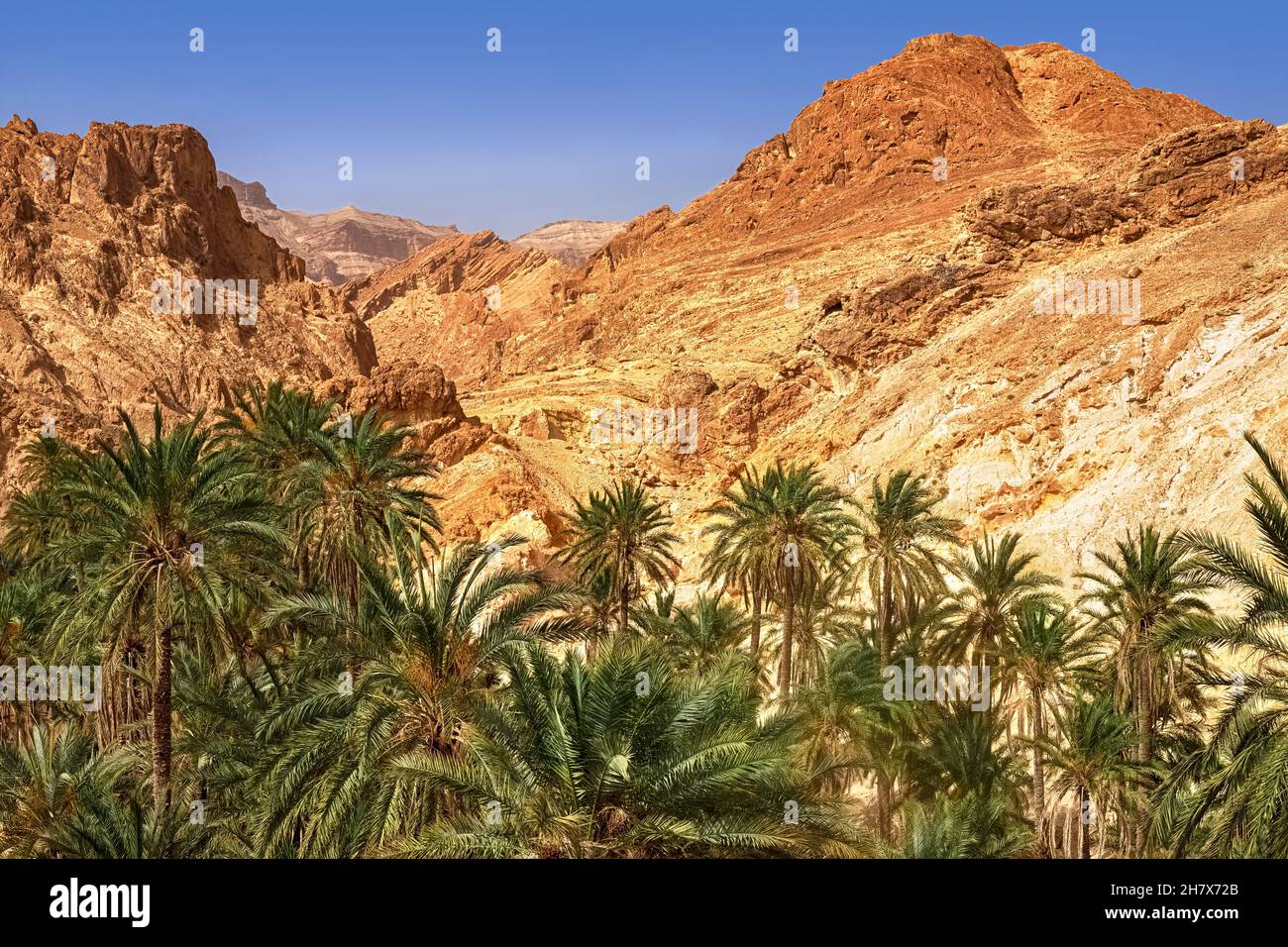 View of the mountain oasis of Shebika, in the middle of the Sahara Desert, Tunisia Stock Photo