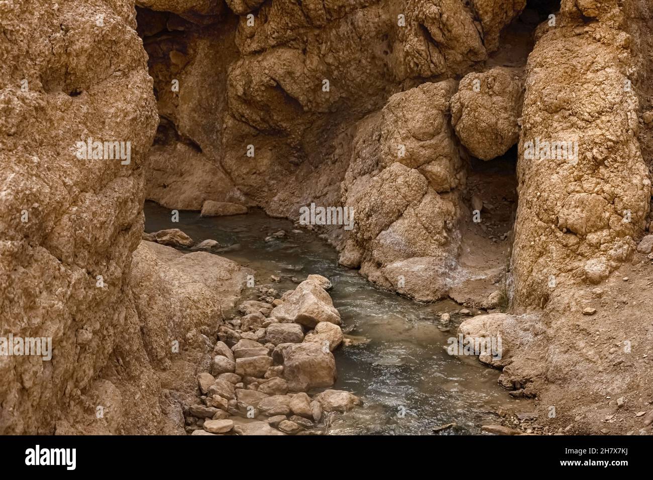 View of the mountain oasis of Shebika, in the middle of the Sahara ...