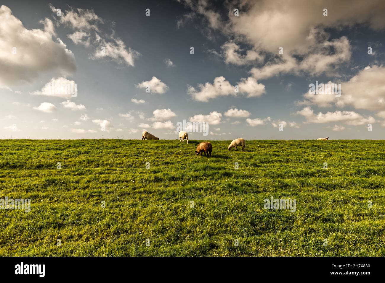 Friesland Norddeutschland Stock Photo