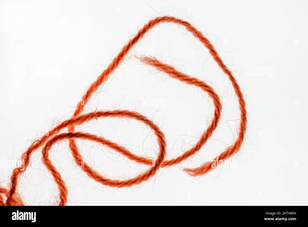 a thread of wool. fil de laine Stock Photo Alamy