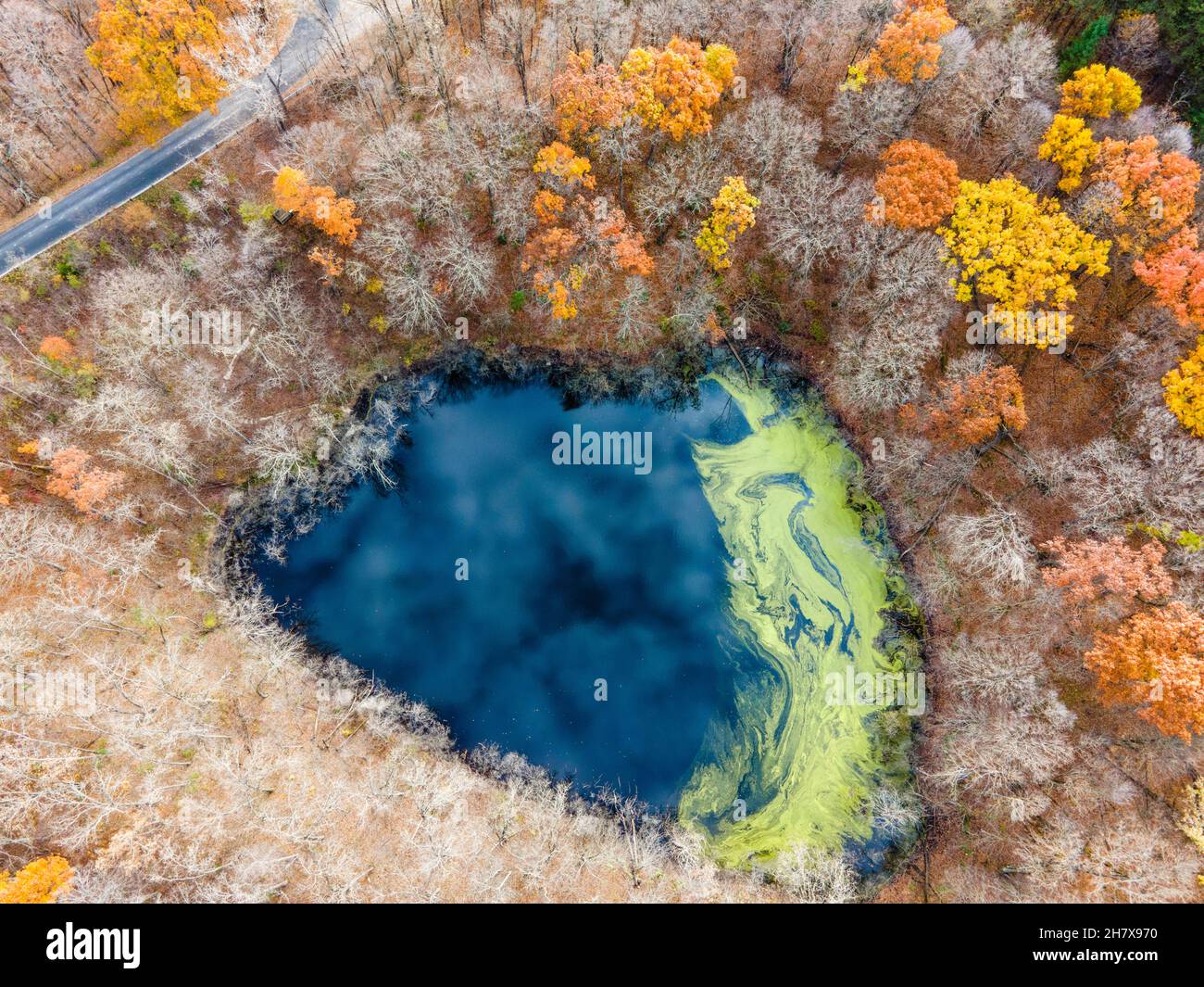 Aerial photograph of Greenbush Kettle, a glacial kettle or pond, on an